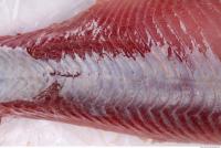  fish tuna meat